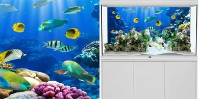 YongFoto Tropical Fish Aquarium Background for Photography
