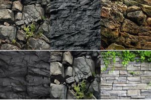 Aquarium Background with Rocks