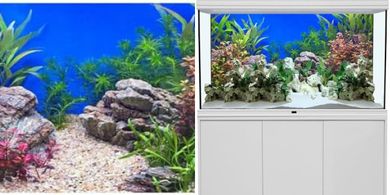 AWERT 48x24" Aquatic Vinyl Background: Riverbed & Lake Scene
