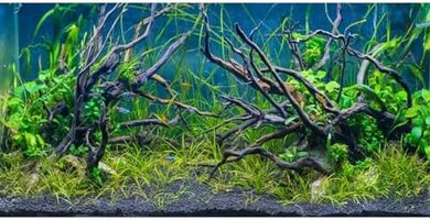 Tropical Fish Tank Background: Riverbed, Lake, Plants, & Branches
