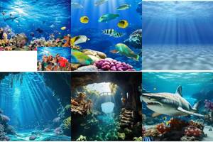 5 Stunning Deep Sea Aquarium Backgrounds