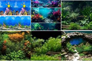 Top 5 Aquarium Backgrounds Featuring Lush Plants