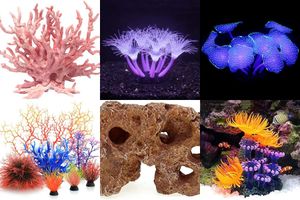 Aquarium Coral for Saltwater Tank