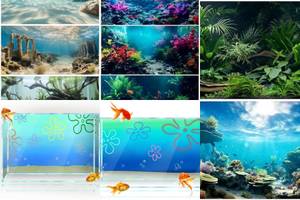 5 Stunning Aquarium Backgrounds to Enhance Your Guppy Tank