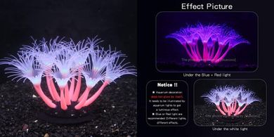 Glowing Coral Aquarium Ornaments (Pink, Sunflower)
