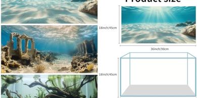 3-Pack Aquarium Backgrounds: Underwater Ruins, Sun, Plants (36x18")
