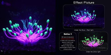 Glowing Purple Equinox Coral: Aquarium Glow-in-the-Dark Decor
