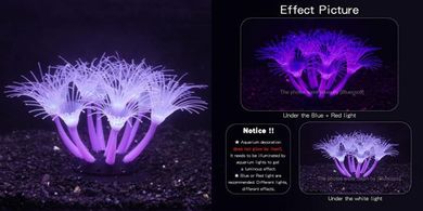 Glowing Coral Aquarium Ornaments (Purple, Sunflower)
