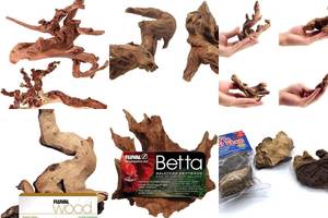 Top 5 Driftwood Aquariums for Betta Fish