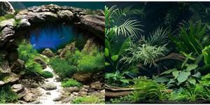 Top 5 Beige Aquarium Backgrounds for a Stunning Tank