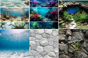 Top 5 Neutral Aquarium Backgrounds for a Stunning Tank