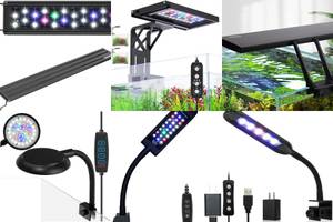 Top 5 Aquarium Lights for Nano Tanks