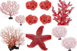 5 Stunning Red Aquarium Corals