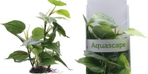 Plastic Anubias Aquarium Plant