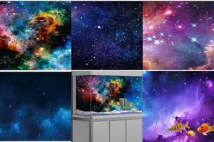 5 Stunning Starry Aquarium Backgrounds