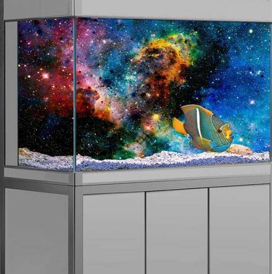 Starry Sky Aquarium/Terrarium Background Cloth (36x18")
