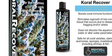 Brightwell Aquatics Coral Recover: Remedy for Damaged Coral Tissue
