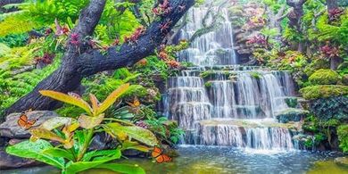 Tropical Rainforest Aquarium Background (48x24", Polyester)
