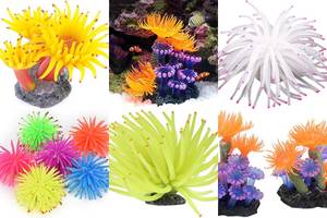 Stunning Coral & Anemone Aquariums: 5 Inspiring Designs