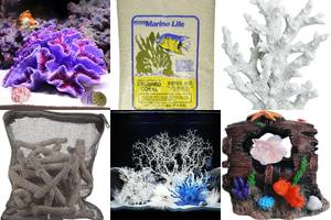 5 Stunning Freshwater Coral Aquarium Setups