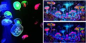 5 Stunning Aquarium Backgrounds Featuring Jellyfish