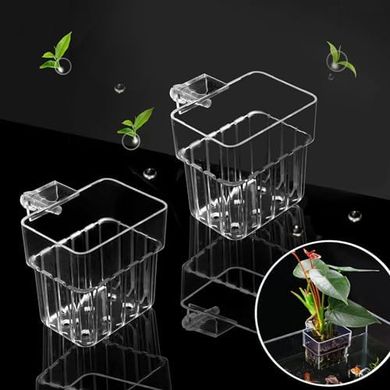 Aquarium Plant Holders: Hanging Planters for Fish Tanks
