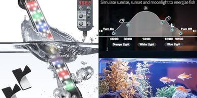 Pawfly 5W Aquarium LED: Full-spectrum, adjustable brightness, timer.
