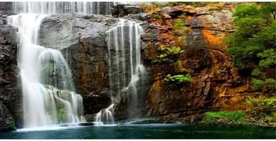Tropical Waterfall Aquarium & Reptile Habitat Background