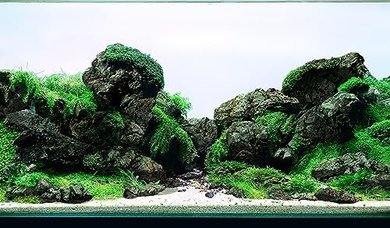 Black Lava Rocks (18 lbs, 3-11", 11 pcs) for Aquascaping
