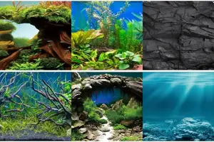 Stunning 60x24 inch Aquarium Backgrounds: Top 5 Picks