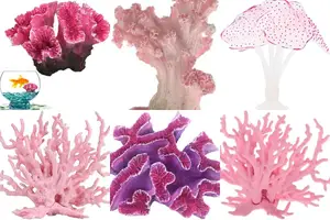 5 Stunning Pink Corals for Your Aquarium