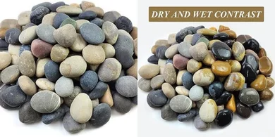 Mexican Beach Pebbles: Natural Aquarium & Garden Rocks (2-3 inch)
