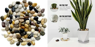 Polished River Rocks: Pebbles for Plants & Aquariums