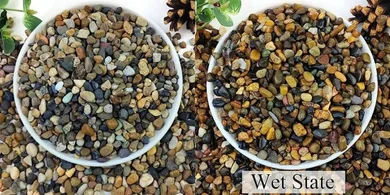 Natural River Rocks & Gravel for Aquariums, Plants, & Decor