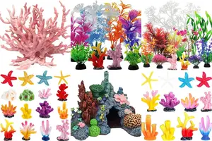 5 Exotic Aquarium Corals to Transform Your Tank