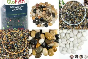 5 Stunning Indoor Aquarium Rocks: The Ultimate Guide