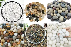 5 Stunning Outdoor Aquarium Rocks